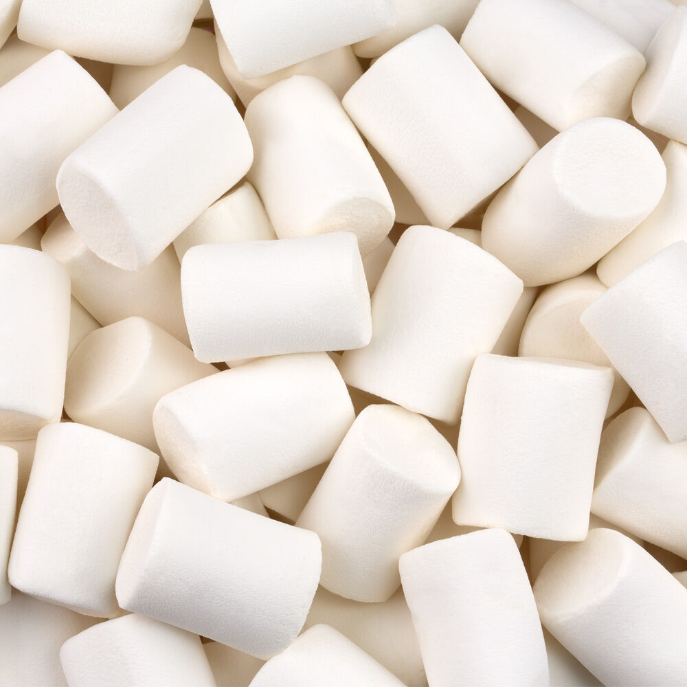 Marshmallow Camping Fini para assar